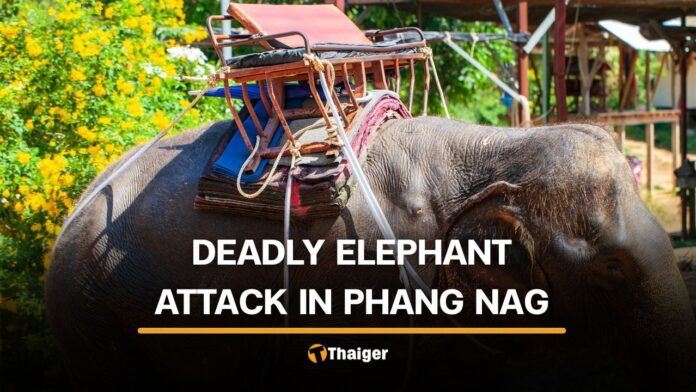 Mahout dies and tourist injured in Phang Nga elephant attack