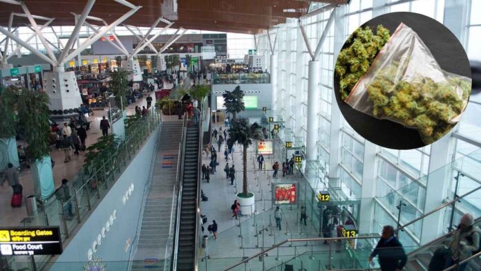 Customs Officials Seize Over 6 Kg of Weed at Delhi Airport; Three Arrested