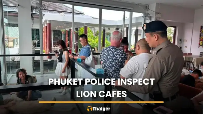 Phuket Police Confirm Lion Cafe Incident Was Based on Old Photo