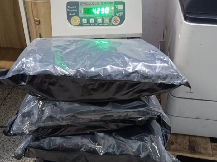 Indian Passenger Arrested with 2.86 kg of Marijuana at Delhi Airport