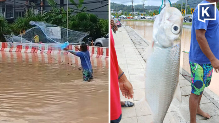 Residents Turn Flooded Phuket Road into Fishing Spot